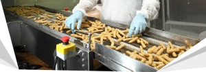 banner-food-processing